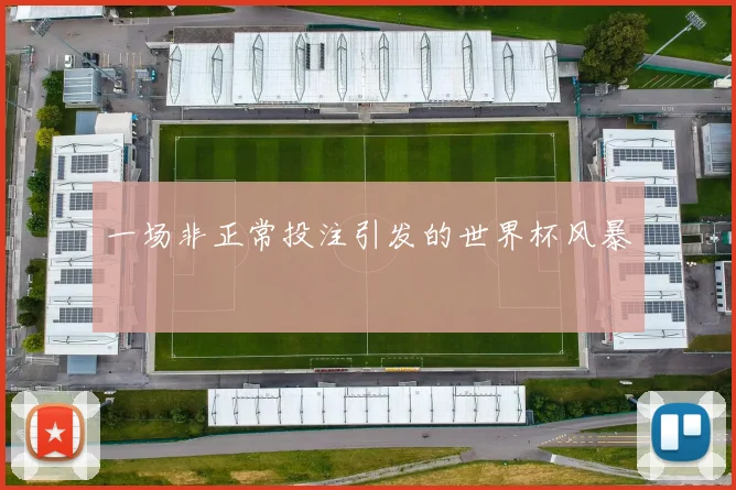 一场非正常投注引发的世界杯风暴