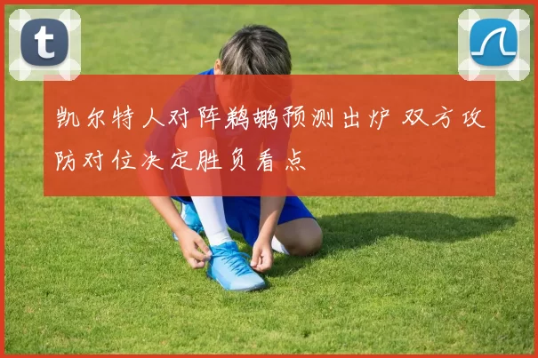 凯尔特人对阵鹈鹕预测出炉 双方攻防对位决定胜负看点