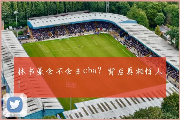 林书豪会不会去cba?背后真相惊人!